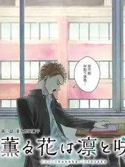 声音进化论 音乐综艺手机在线观看